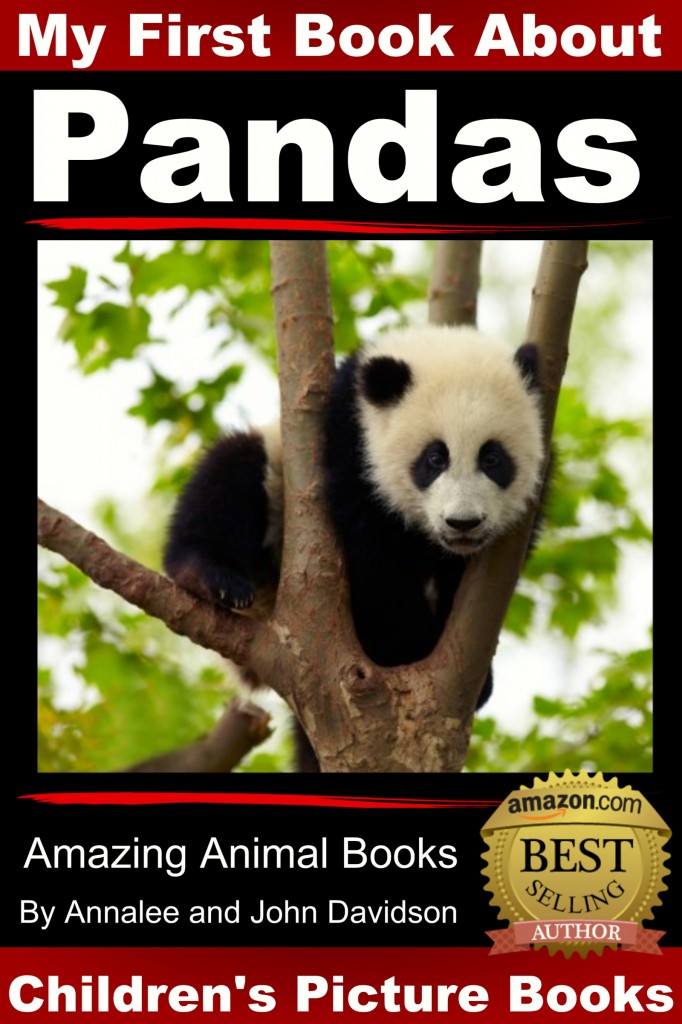 Pandas first book