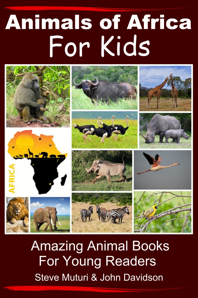 Africa